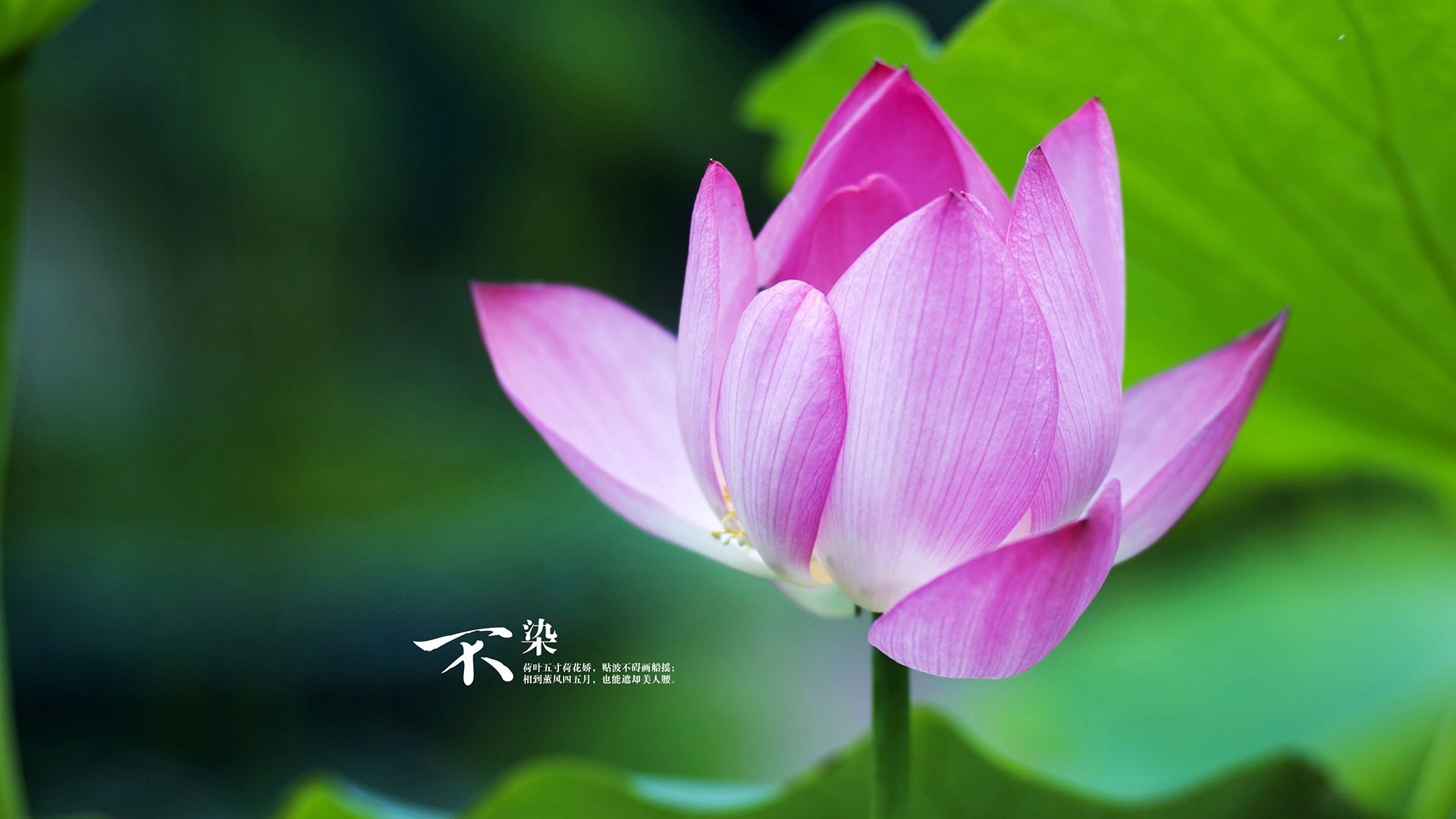 爱游戏 电竞-”花式“表现：勒布朗、杜兰特的精彩镜头不断刷新纪录，勒布朗杜兰特全明星